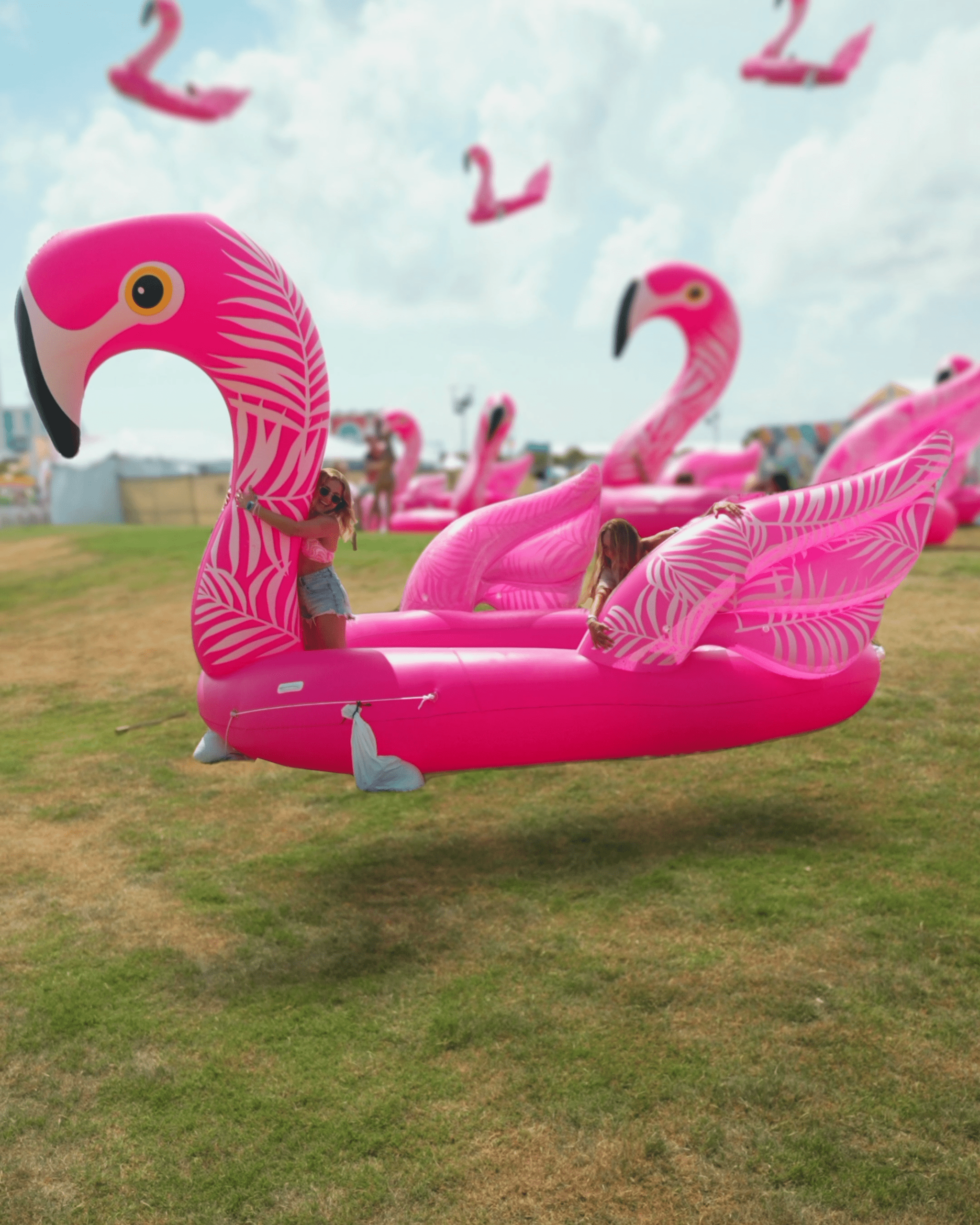 Day_01_Flamingo_4x5_POSTER
