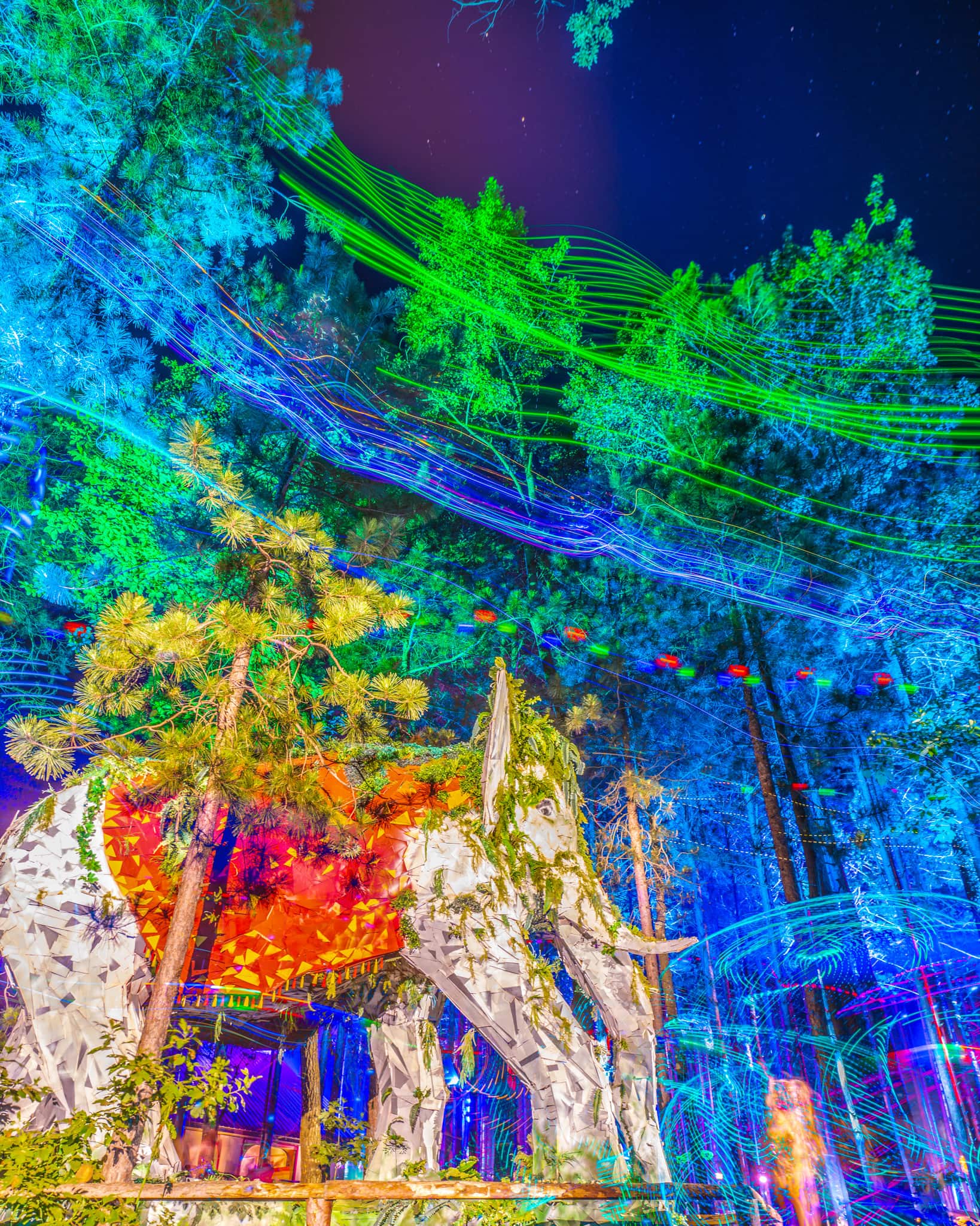 EF2022_0624_233637-7154_ALIVECOVERAGE_JLB