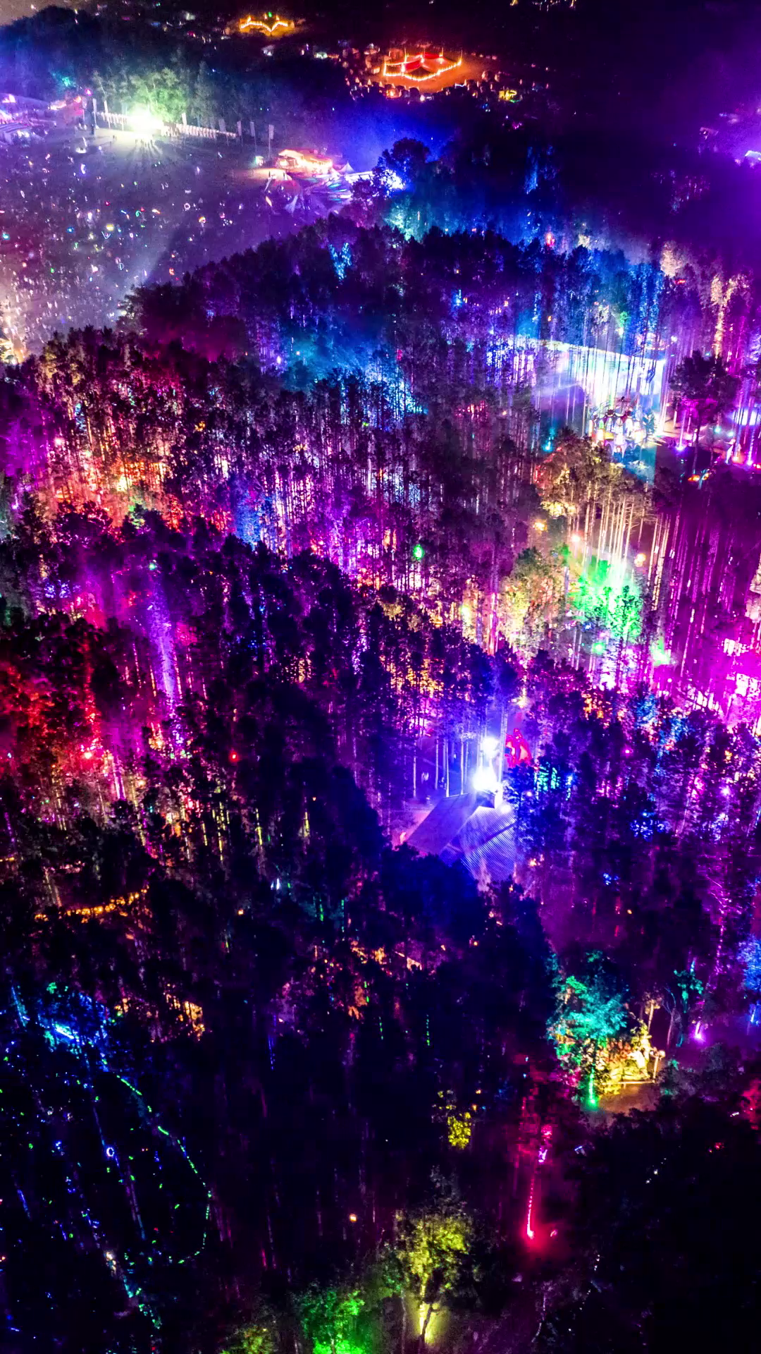 EF2022_DAY02_FORESTNIGHTREEL_CW-vlcsnap