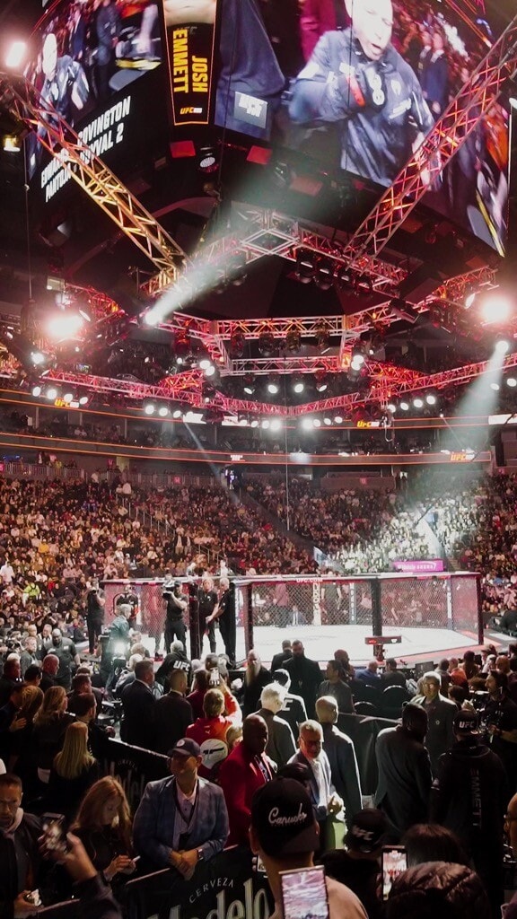 UFC296_Vertical_V3 - screenshot