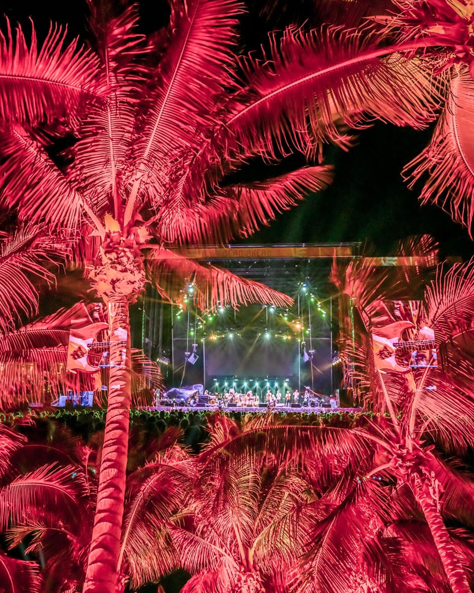 Mexico: Dead Ahead 2024 Music Festival