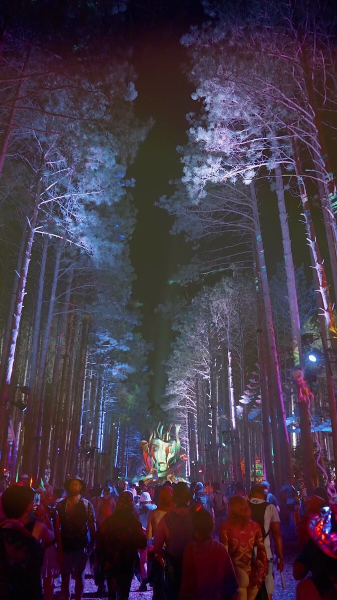 EF24_0622_AliveCoverage_MAH_SherwoodForest-Vibes_9x16-v1 - screenshot