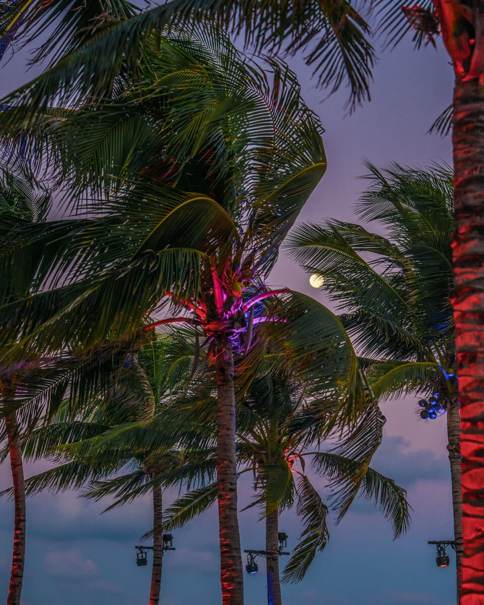 DA2025_0112_183527-3321_ALIVECOVERAGE